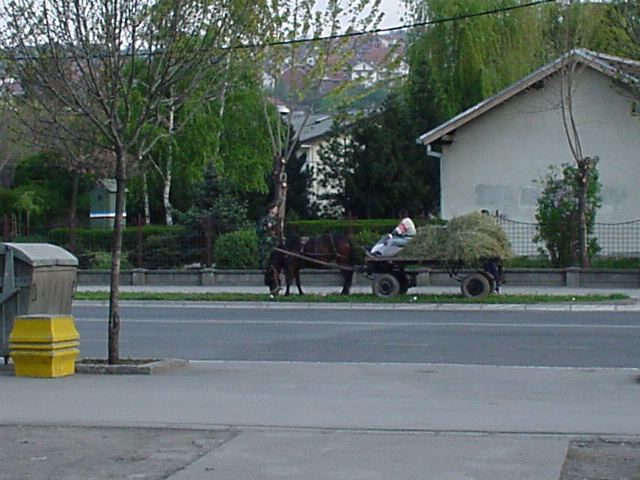 067_Pferdewagen in Nis