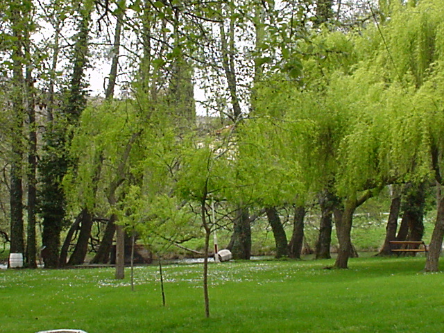 110_Wald bei Sv. Naum