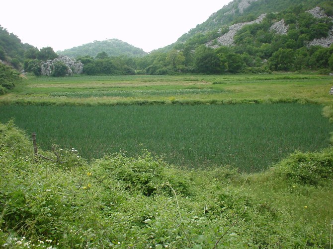 046_Feld in den Bergen hinter DU