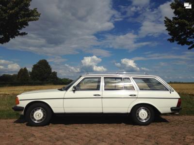 tovo-elegante-seitenlinie